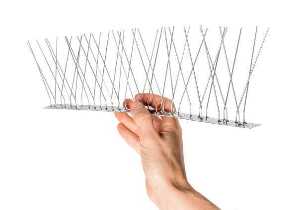 An individual holding a handful of bird spikes, which are small, pointed strips designed to deter birds from landing or roosting on surfaces. The spikes are made of durable materials, and the person's hand is wearing a protective glove to handle the sharp points