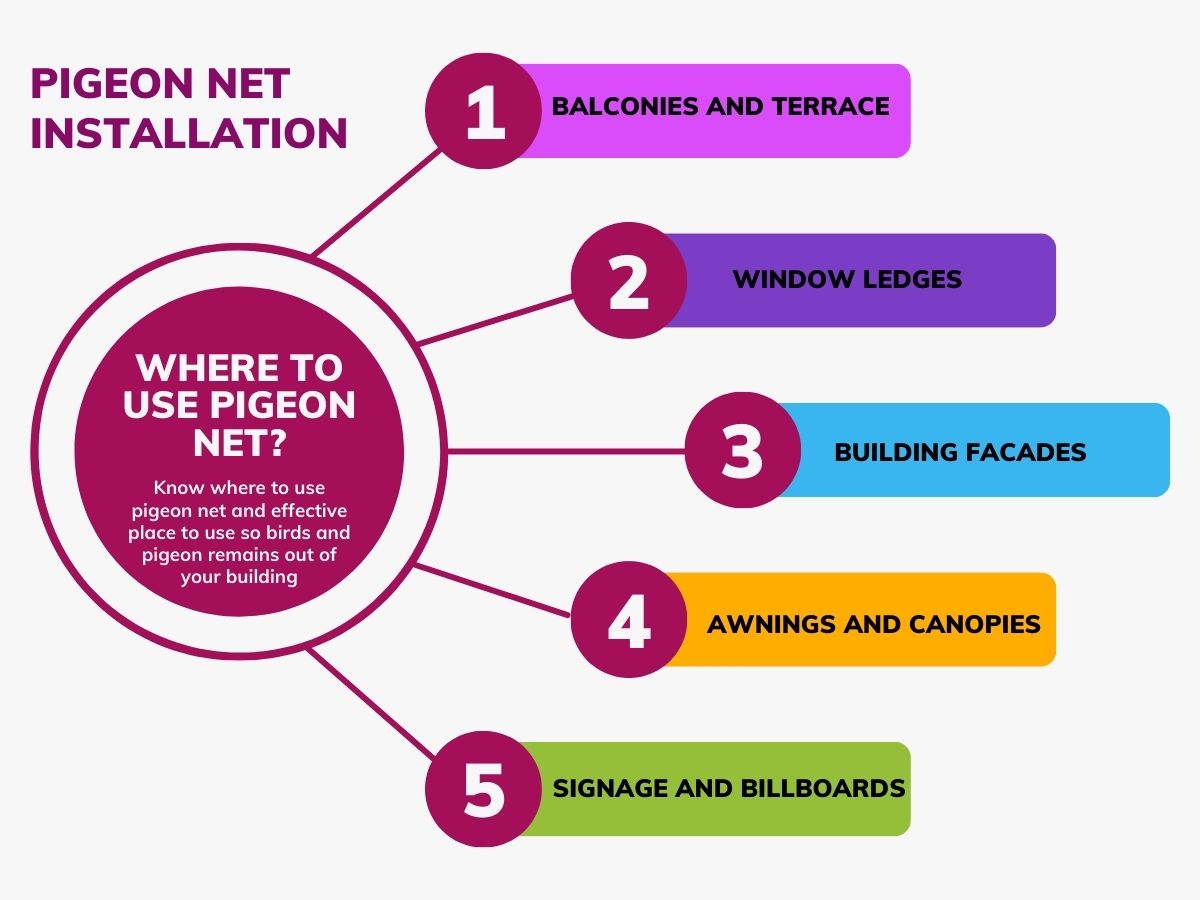 infographic picture where to install pigeon net?