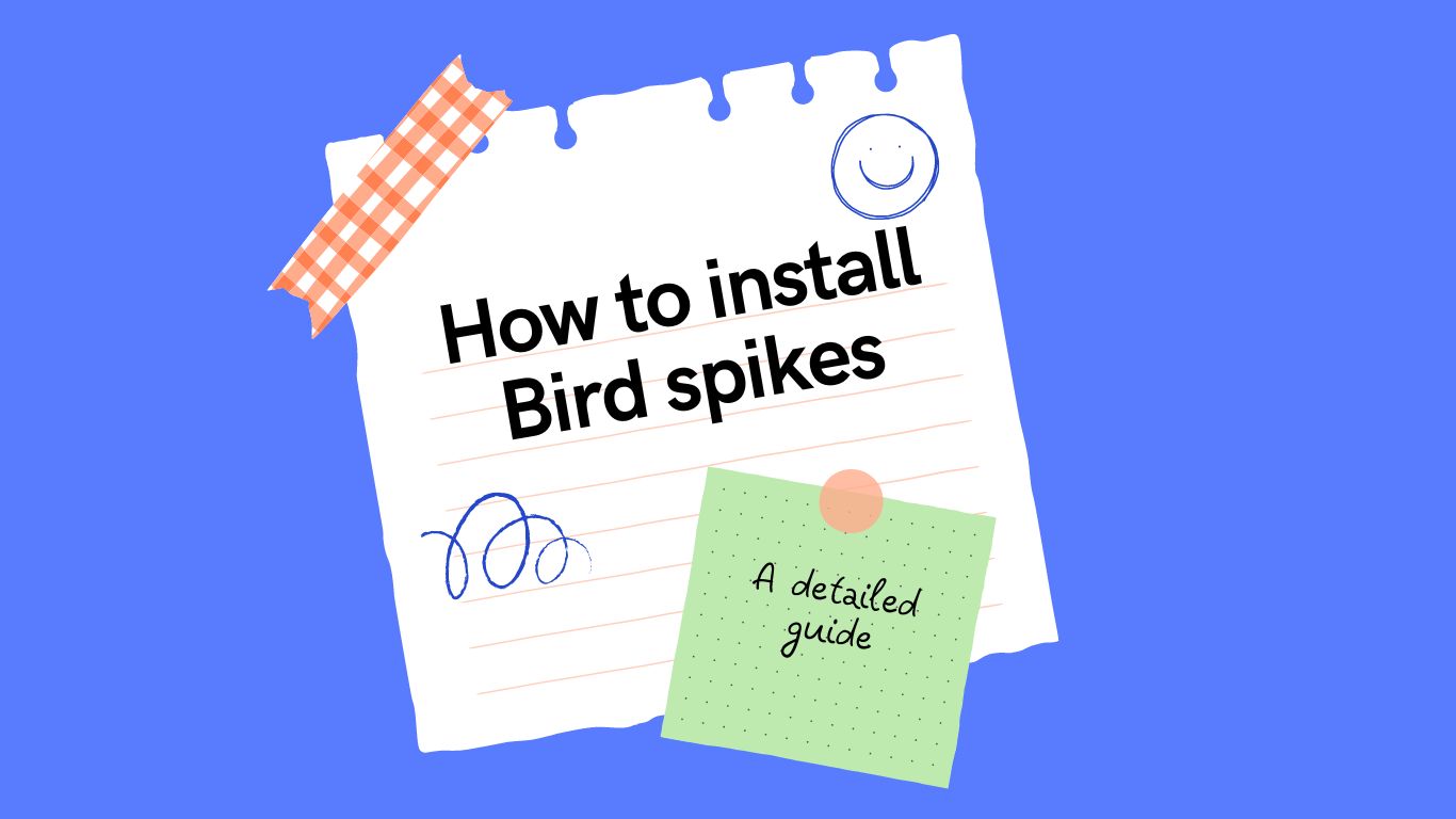 feature photo of how to install bird spike