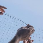 pigeon net installation guide