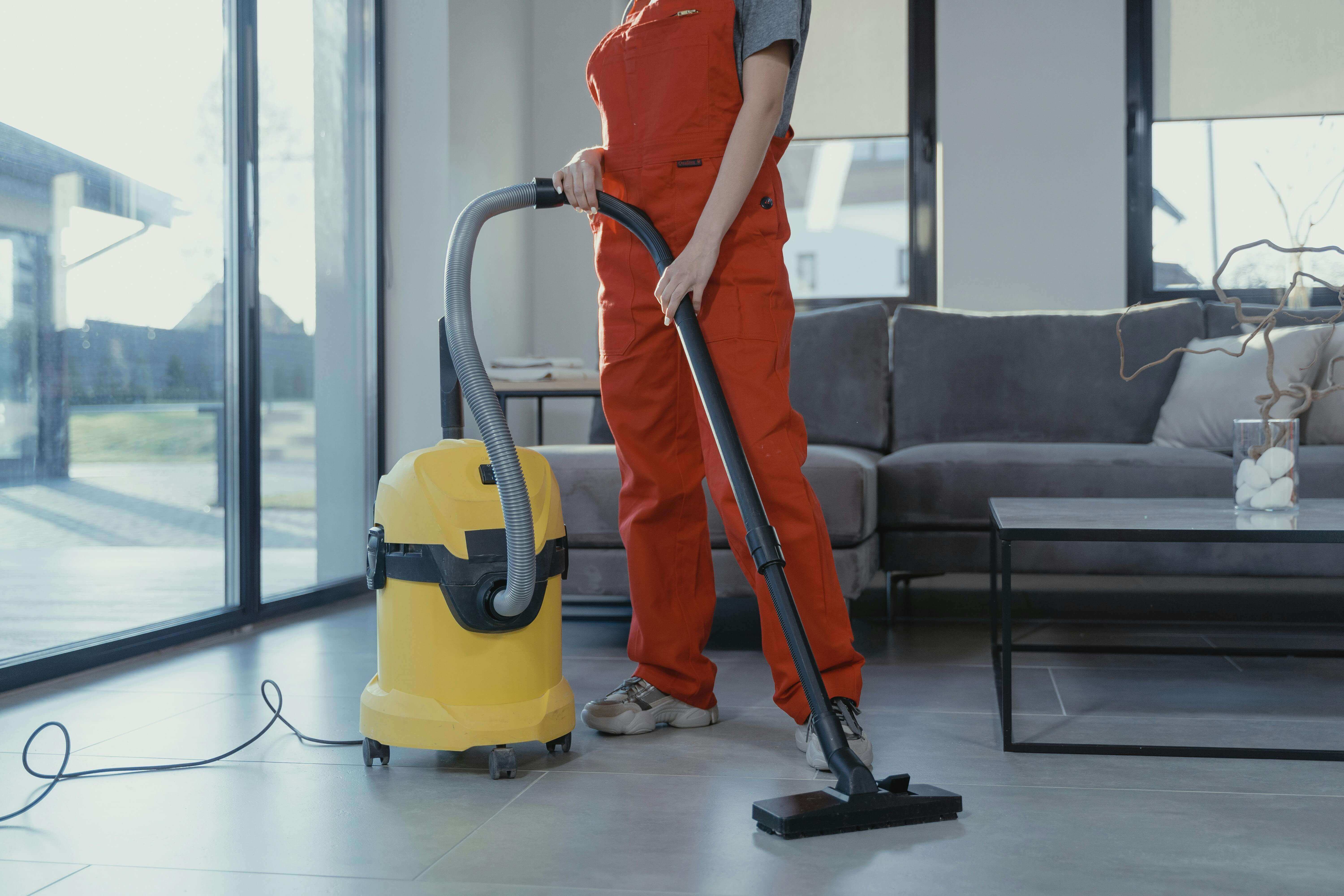 professional cleaning service